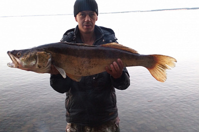 Приняли за фотошоп: рыбак из Сызрани поймал гигантского судака