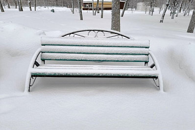 Общественники Отрадного рассказали о планах на участие в "СОдействии" 
