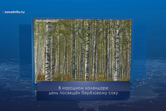 Березосок. Календарь Губернии от 11 мая