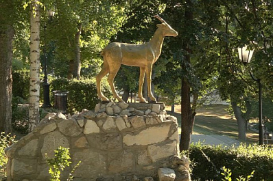 Жители региона отметили День самарской символики 