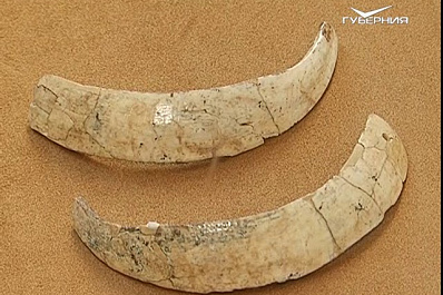 Всероссийская научная конференция по археологии впервые прошла в Самарской области