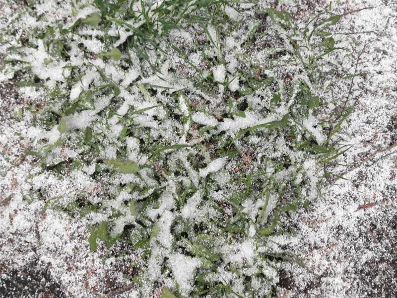 И снова в минус: Самарскую область ждут заморозки