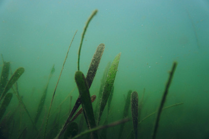 Название статьи