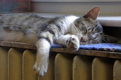 В Самаре с 13 по 14 апреля 2022 года отключат отопление и горячую воду в зданиях на нескольких улицах