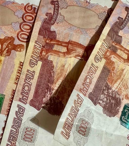 В Самарской области женщина незаконно потратила грант на полмиллиона рублей
