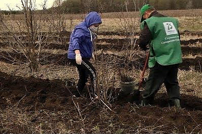 Жители Самарской области присоединяются к международной акции "Сад памяти"
