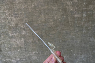 В России появился новый тест для диагностики сальмонеллеза