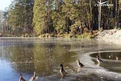 Определились победители фотоконкурса “В ОБЪЕКТИВЕ - ГУБЕРНИЯ”