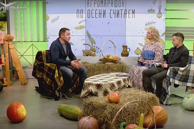 Сложные условия и высокие результаты: Ильдар Галиев - об аграрном сезоне в Самарской области