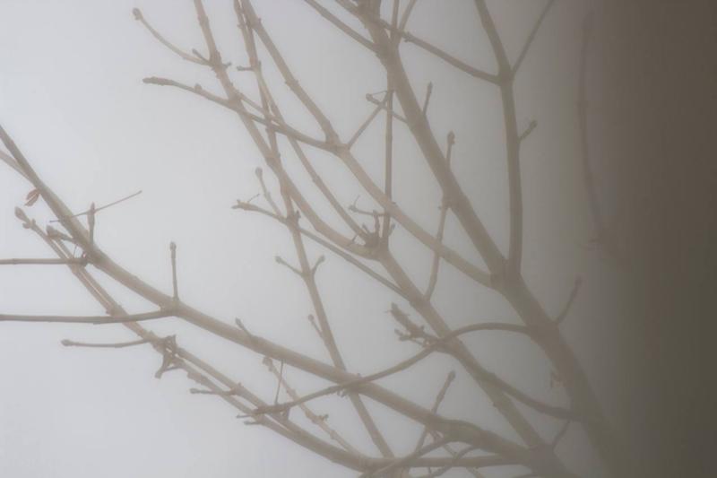 На Самарскую область 24 декабря опустится густой туман