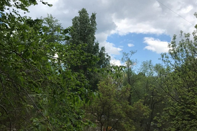 Самарскую область накроют дожди и грозы