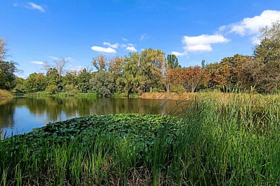 В Самаре 8 сентября будет тепло