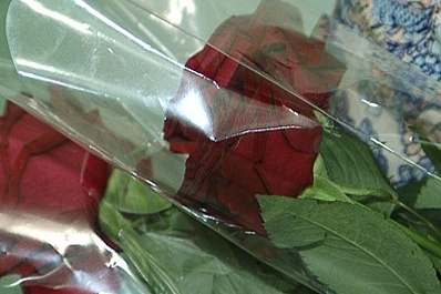 Активисток общественных советов региона поздравили с 8 Марта