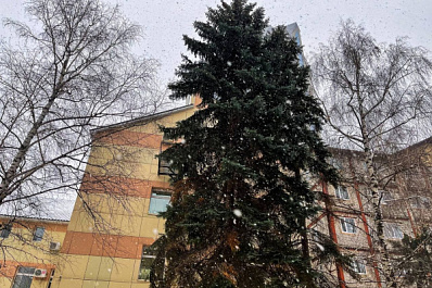 В Самарской области на этой неделе похолодает до -20 °C