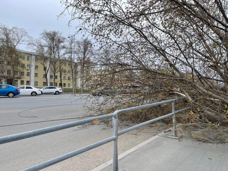 Порывистый ветер налетит на Самарскую область 21 ноября