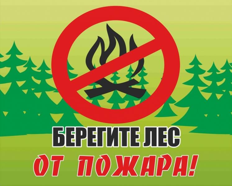 В Самарской области продлен полный запрет на пребывание в лесах