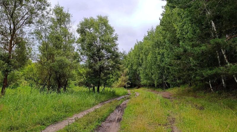 В Самарской области с 17 по 22 сентября сохранится высокая пожарная опасность лесов