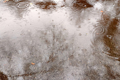 Название статьи