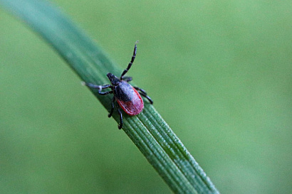 Название статьи