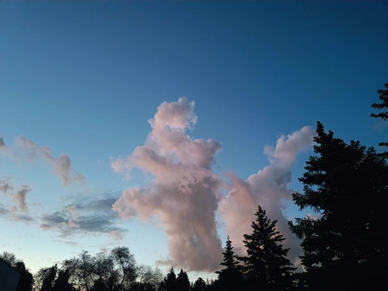 В Самарской области 23 мая ожидается теплая погода без осадков