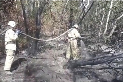 В Борском районе тлеют 9 гектаров травы и леса