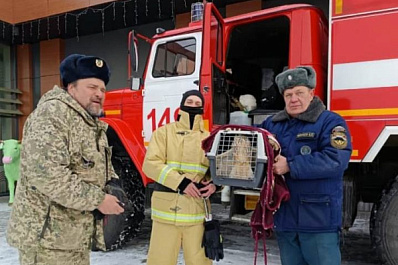 В Самарской области пожарные-спасатели помогли застрявшему филину