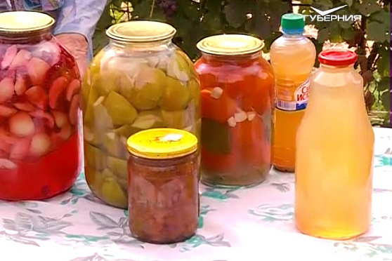 Удачные заметки 12.09.2017. Собираем урожай яблок и учимся размножать тую черенками