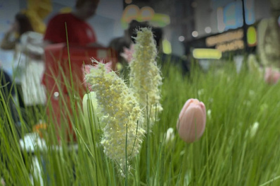 На выставке "Россия" завершился Всероссийский женский форум