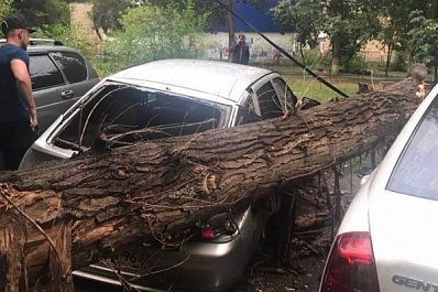 В Самаре на Физкультурной дерево придавило две машины