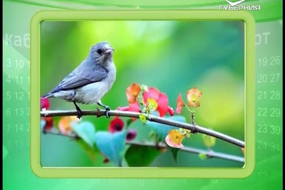 Календарь губернии 05.05.2016