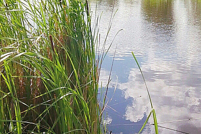 На правом берегу Волги появятся новые площадки для сбора мусора
