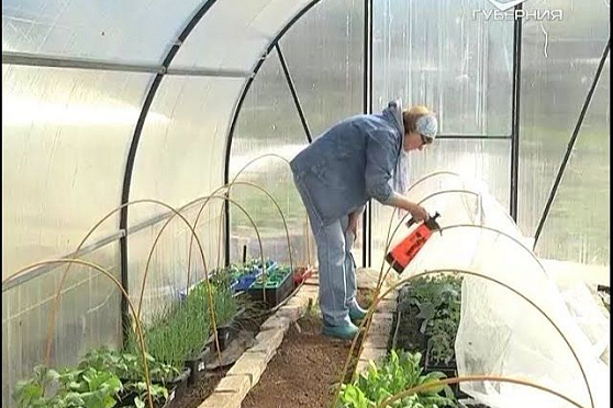 Дачные советы 28.04.2016