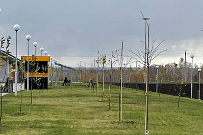 В Нефтегорске появилась яблоневая роща 