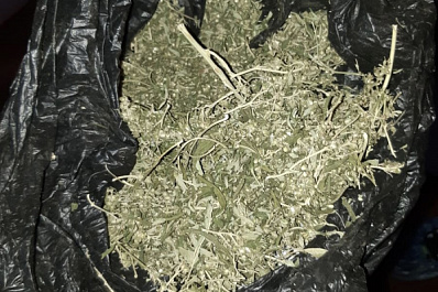 Житель Самарской области хранил коноплю на чердаке своего дома