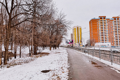 Стало известно, выпадет ли снег в Самарской области в ближайшее время