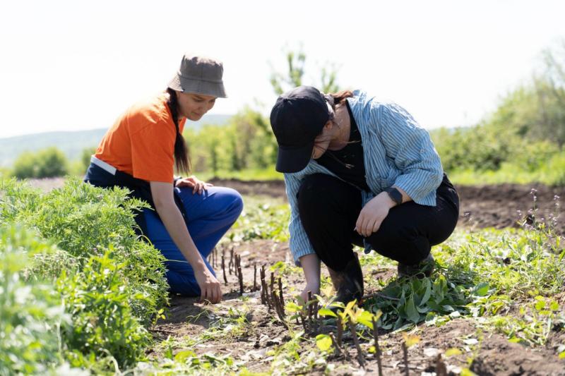 Дачникам нужно избавиться от хлама, чтобы участок не признали заброшенным