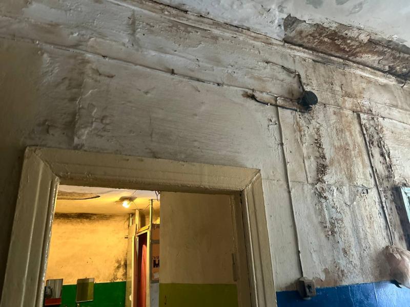 Самарцам рассказали, как избавиться от плесени