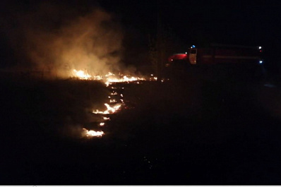 "До жилых домов оставалось 15 метров": в Смышляевке вспыхнуло поле