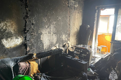 В Тольятти непотушенная сигарета погубила мужчину, кошку и собаку