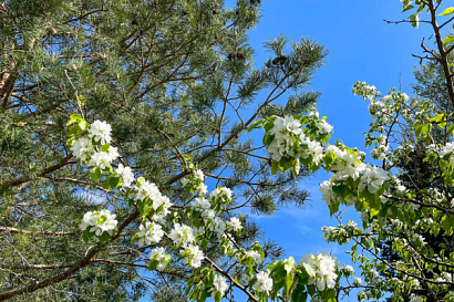 Название статьи