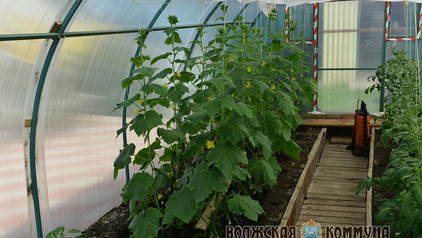 7 июня в истории и архиве "ВК"