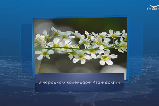 Иван-Долгий. Календарь губернии от 21 мая