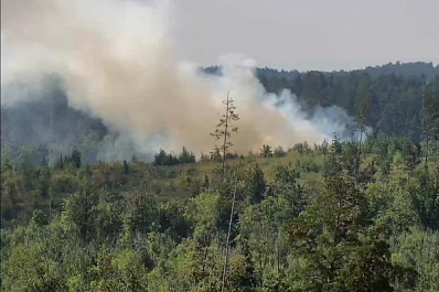 Пожарные из Самары и Тольятти несколько часов борются с огнем в лесу в Центральном районе