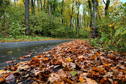 Название статьи