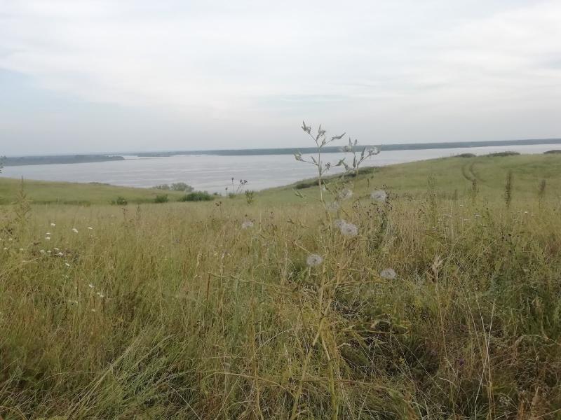 В Самарской области откроют экологический парк для детей