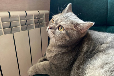 Стало известно, когда должны отключать отопление в квартирах