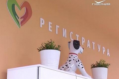 В стратегию развития Самарской области заложено масштабное совершенствование системы здравоохранения