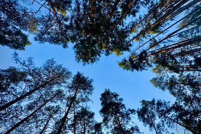 Выходные в Самарской области будут солнечными и теплыми