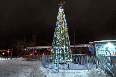 В скверах Тольятти проходят новогодние представления