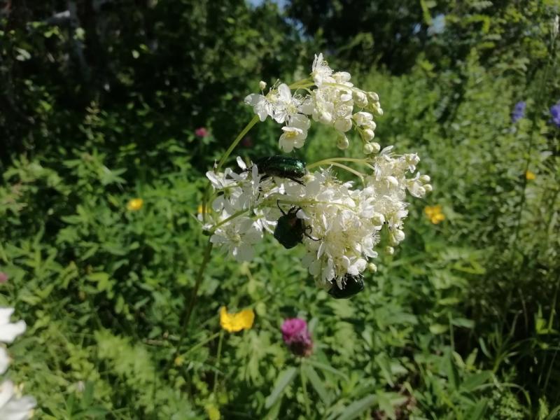Жителей Тольятти приглашают освоить творческие способы фотосъемки